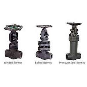 پترو فولاد پارس شیر فلکه فولادی مونل